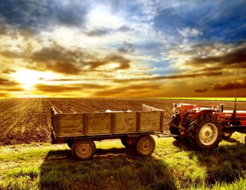 tractor_field_arable_land_agriculture-1099292.jpg!d